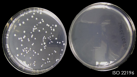 Antimikrobielle Beschichtung mit Klebefolie, ein hoher Grad an Hygiene